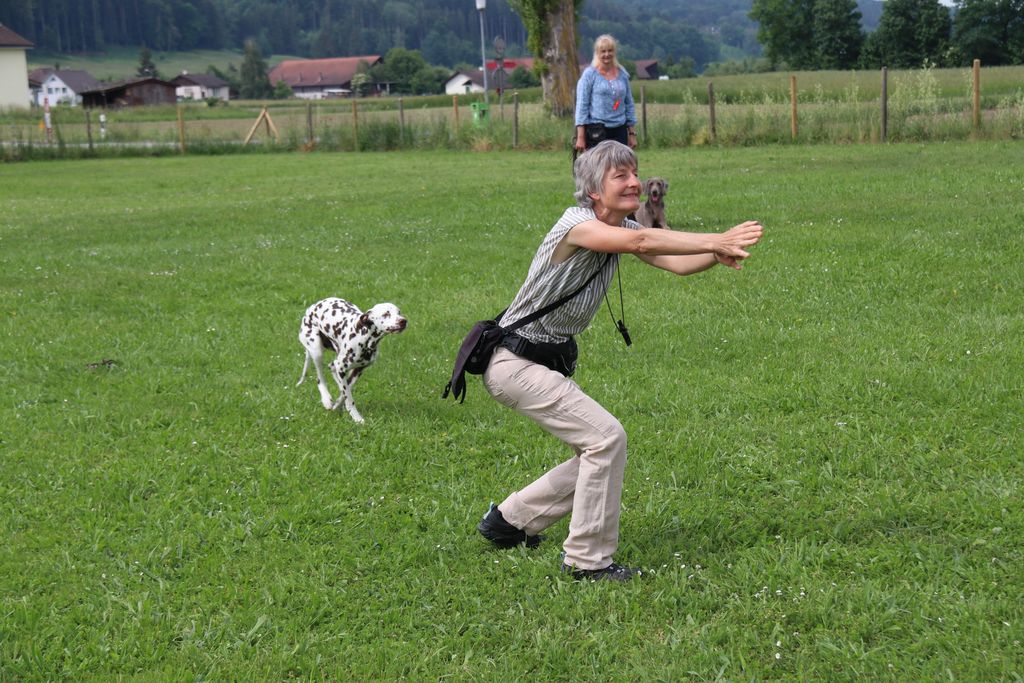 junghundekurse thurgau übung leinenführung und aufmerksamkeit