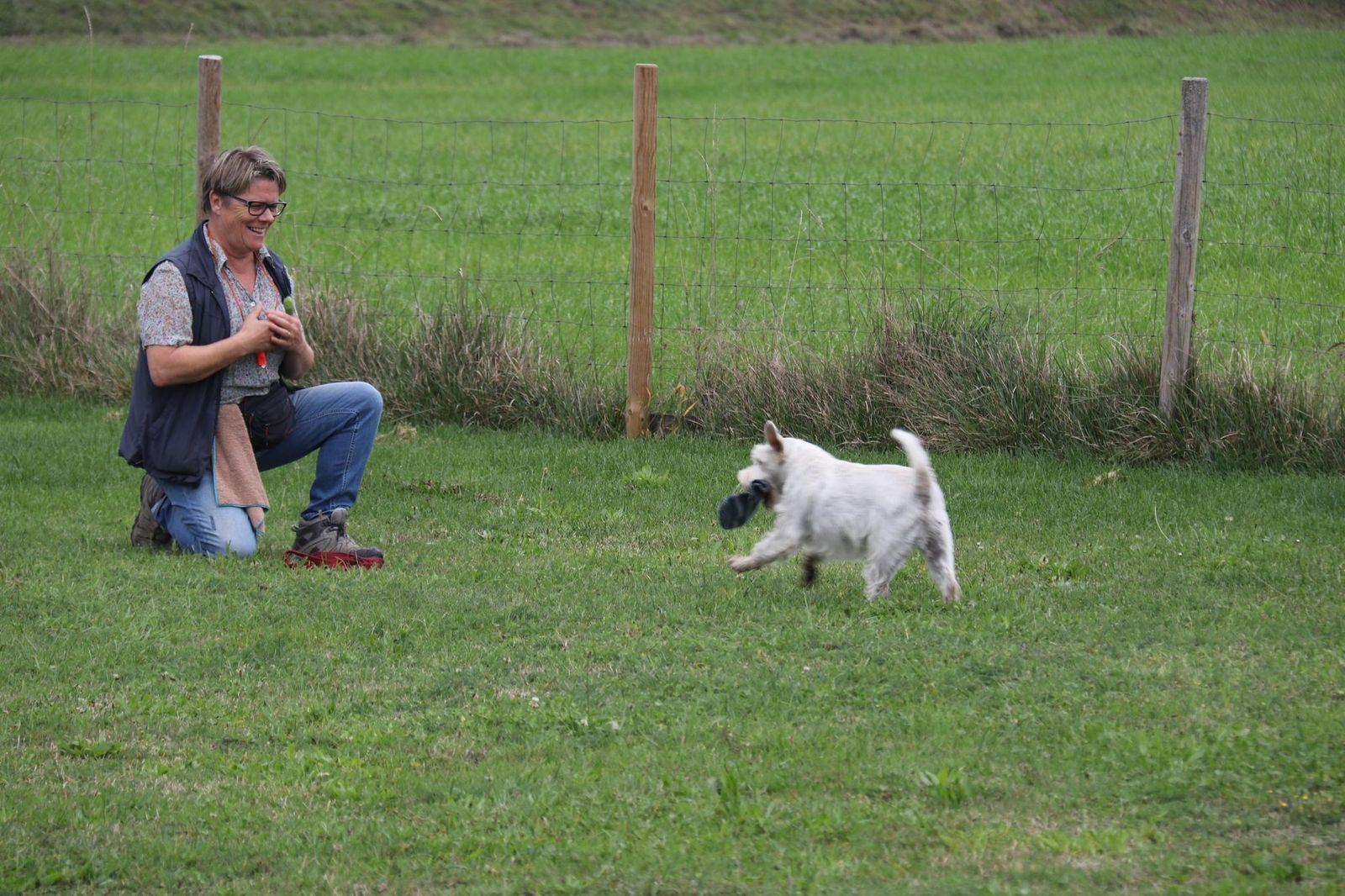 kooperative arbeit zwischen mensch und hund nach der hundeausbildung nach anton fichtlmeier